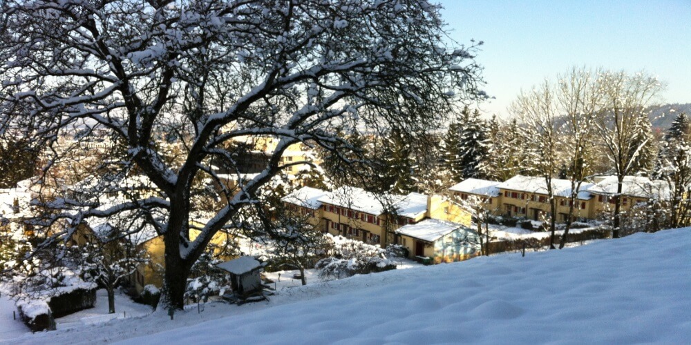 Siedlung Schützenmatt